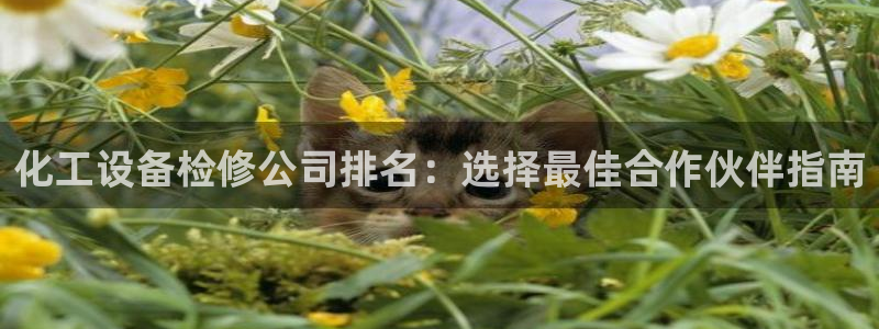门徒娱乐充值能正常提现吗知乎