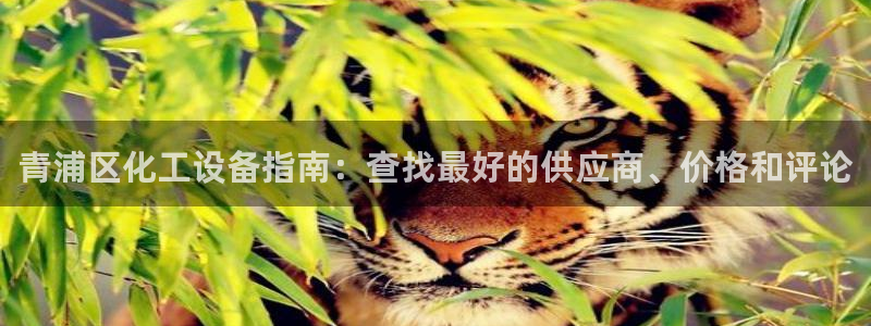 门徒娱乐属于什么系列