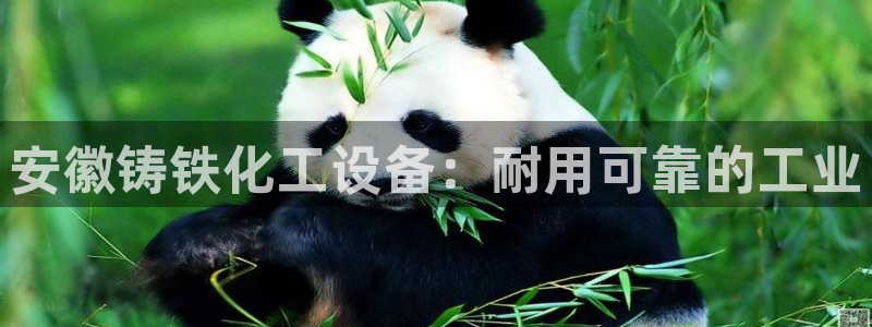 门徒娱乐创始人简介