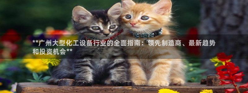 门徒平台推 58534I 平台