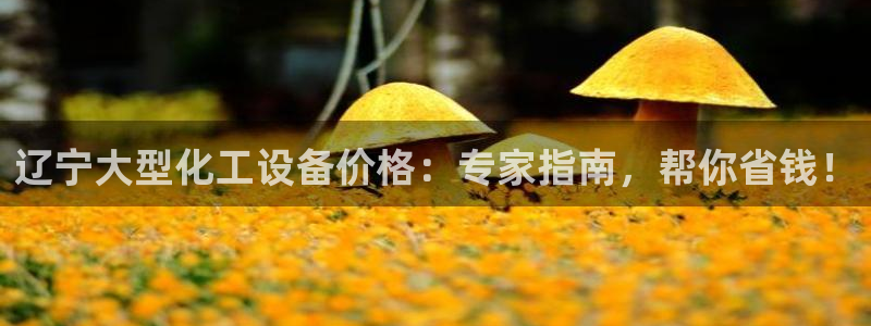 门徒平台注册登陆不上怎么办