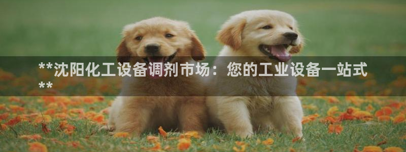门徒娱乐06h娱乐判官333oo
