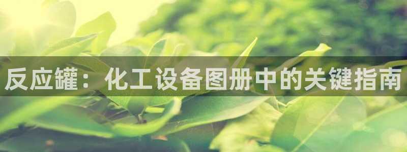 门徒平台云 411o31 门徒