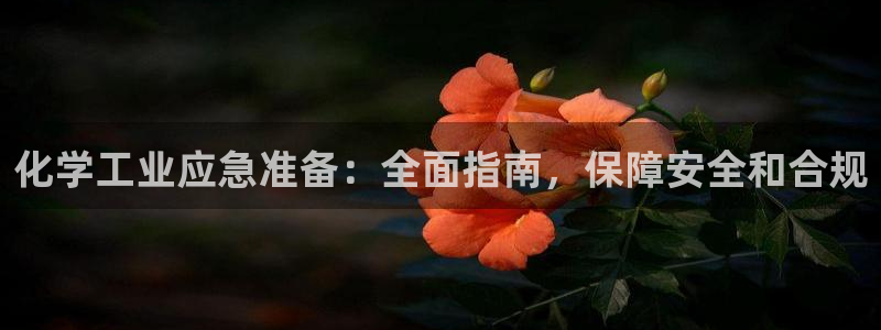 门徒平台注册登陆不上怎么办