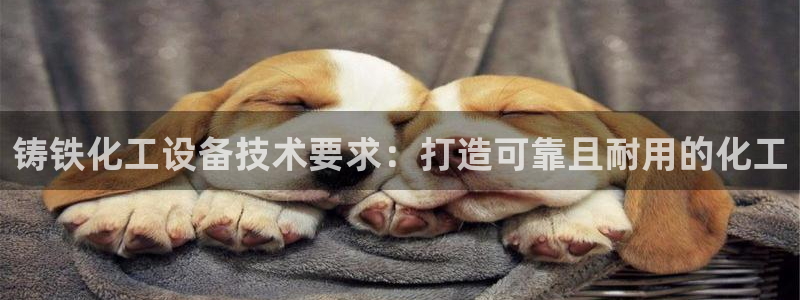 门徒平台官网注册