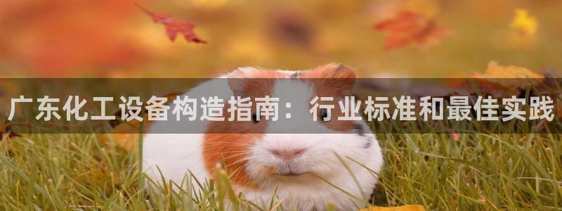 门徒平台开户怎么开