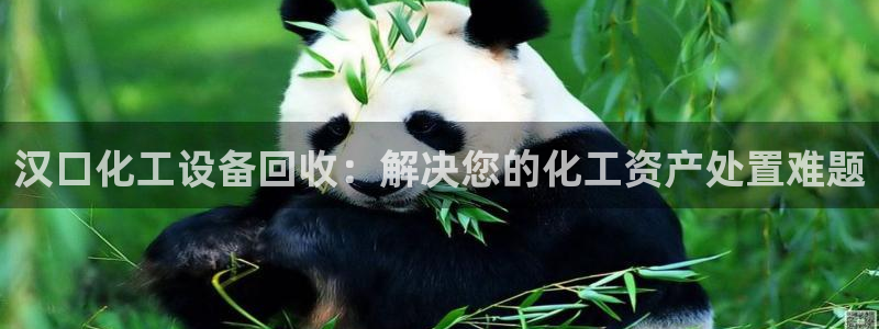 门徒娱乐创始人简介