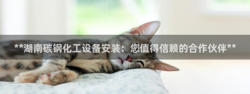 门徒平台招商