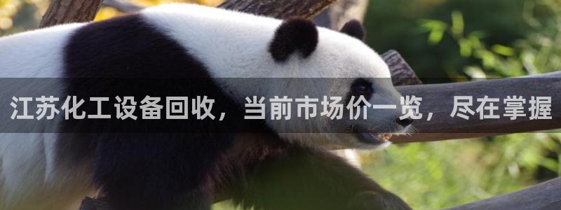 门徒娱乐吧