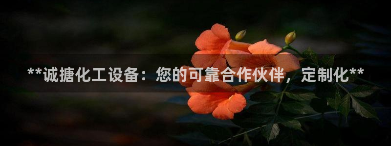 门徒平台招商