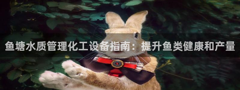 门徒娱乐是什么