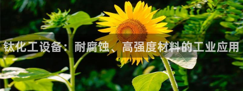 门徒平台官网首页下载