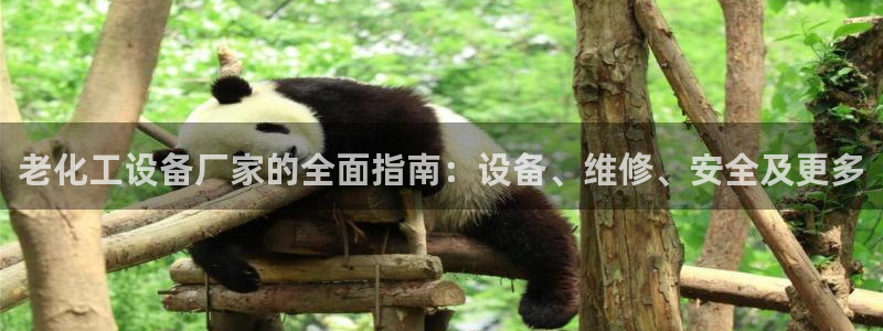 门徒平台注册登陆
