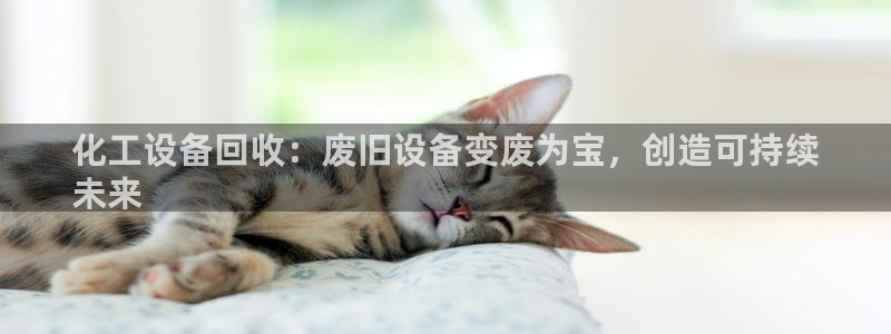 门徒平台登录注册失败