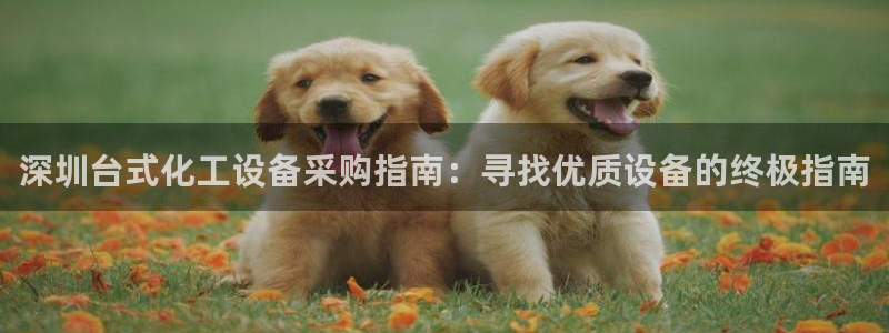 门徒平台注册登陆失败原因