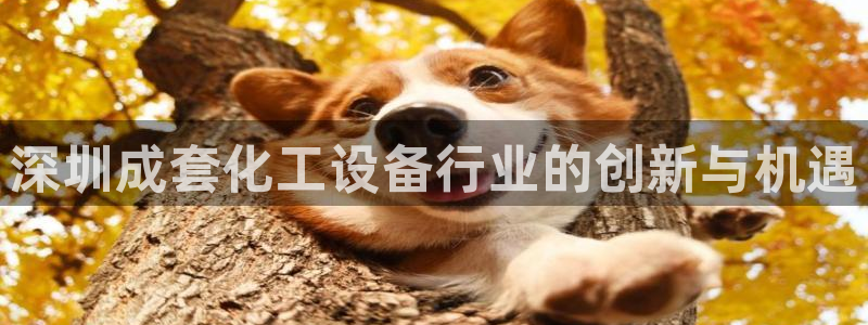 门徒娱乐集团