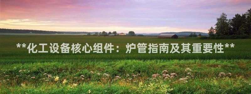 门徒娱乐的员工福利福利与价值