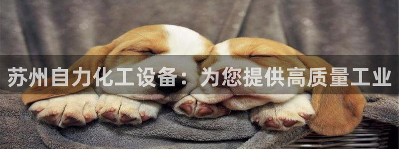 门徒娱乐下载手机版