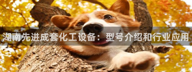 门徒平台推荐 585341