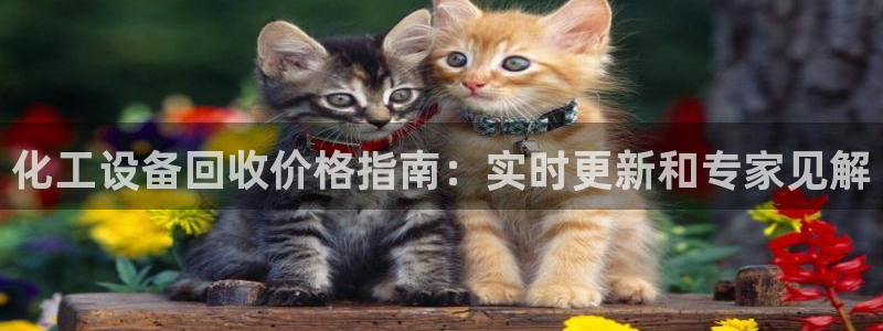 门徒娱乐控制器