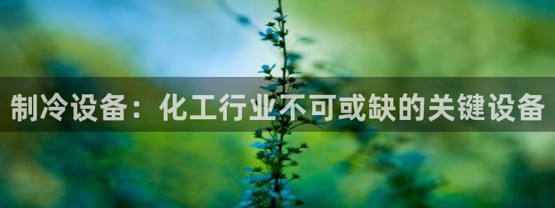 门徒平台能提款吗安全吗