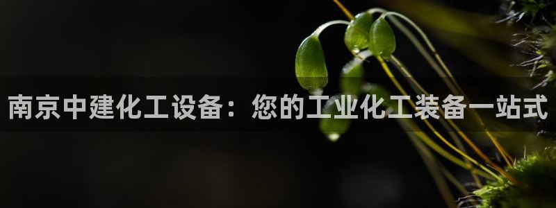 门徒娱乐注册官网