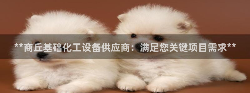 门徒娱乐的创始人背景