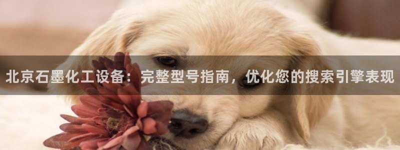 门徒娱乐是什么意思啊