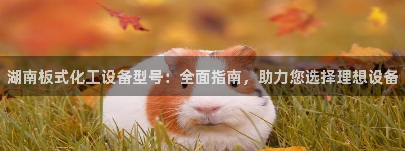 门徒平台系 5O6917 门徒