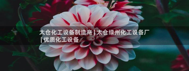 门徒娱乐网址是什么