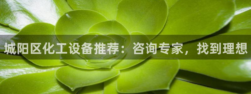 门徒平台入.门徒平台.几年了.长久.中国