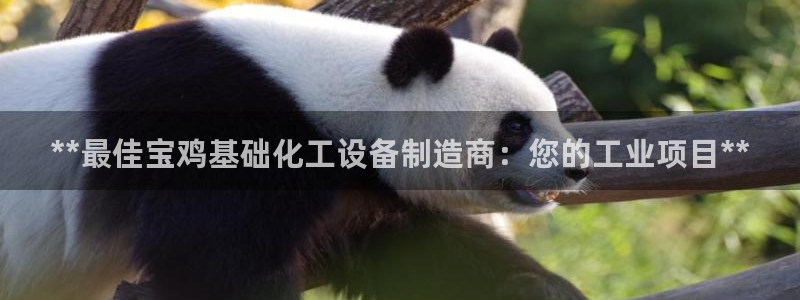 门徒平台会员注册流程