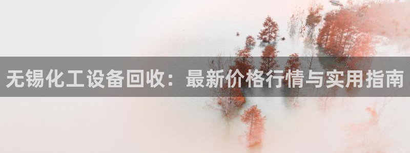 门徒娱乐用户评价与反馈