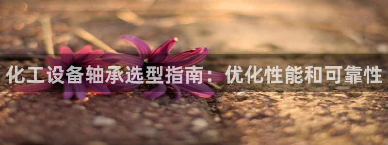 门徒娱乐企业简介