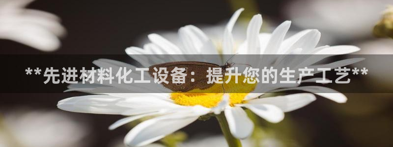 门徒平台虎 411O31 门徒