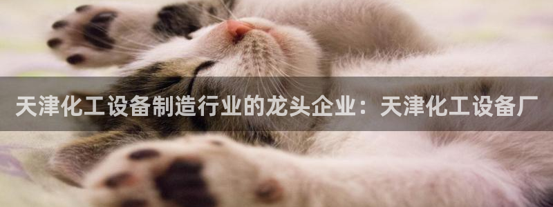 门徒平台定制 411O31 门徒