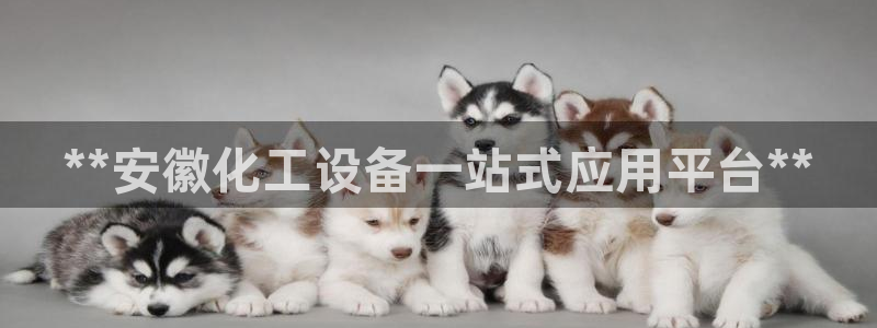 门徒娱乐黑钱