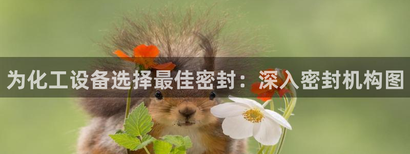 门徒娱乐平台下载安卓