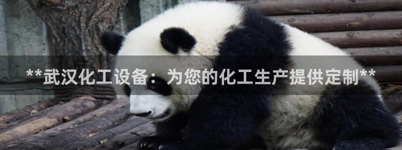 门徒平台注册中心在哪