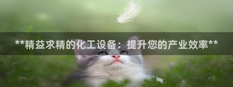 门徒娱乐财神联盟在线观看：**精益求精的化工设备：