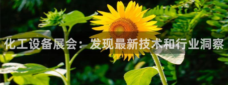 门徒平台集团官网下载安装：化工设备展会：发现最新技