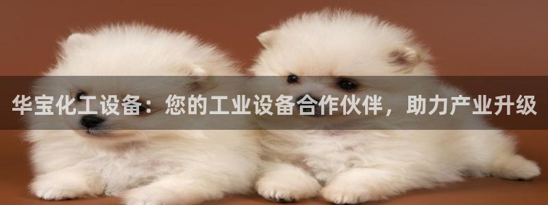 门徒娱乐成功案例：华宝化工设备：您的工业设备合作伙伴，助力产