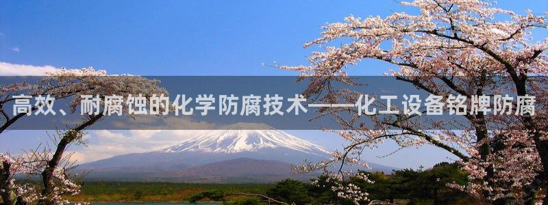 门徒平台布7O777：高效、耐腐蚀的化学防腐技术—