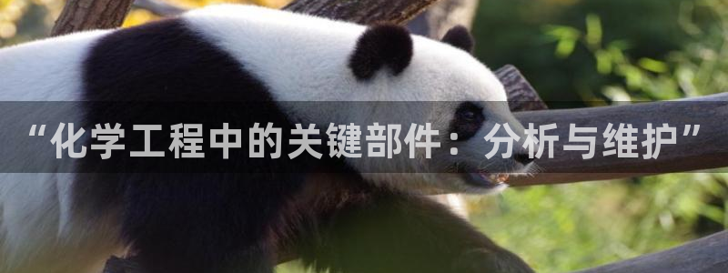 门徒娱乐是干嘛：“化学工程中的关键部件：分析与维护