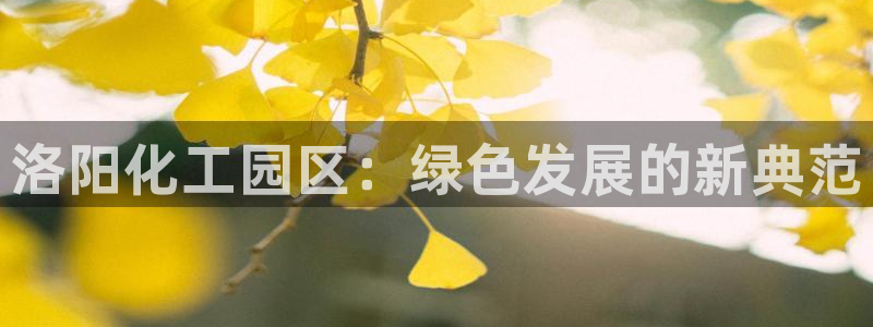 门徒平台主管代理