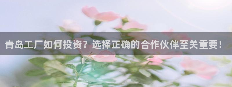 门徒平台注册中心在哪找