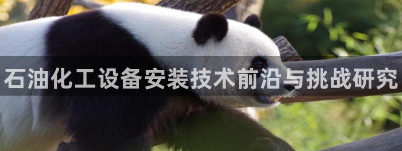 门徒娱乐系3.7.9.9.7 主管