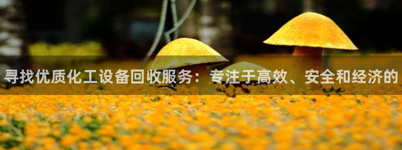 门徒娱乐登录中心官网