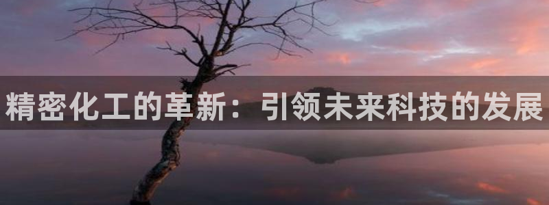门徒娱乐创始人简介资料：精密化工的革新：引领未来科技的发展